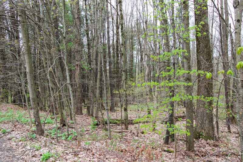 0 Hathaway Road, Laurens, NY 13796