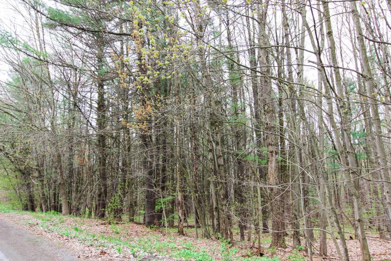 0 Hathaway Road, Laurens, NY 13796