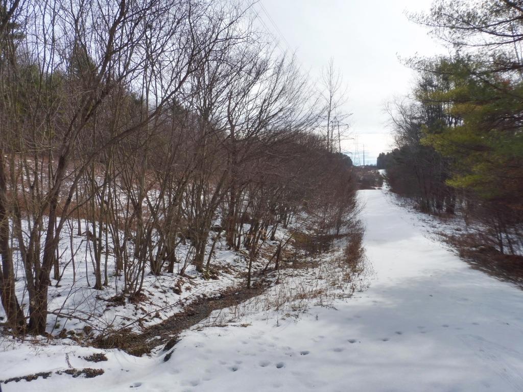0 Nola Drive, Laurens, NY 13796