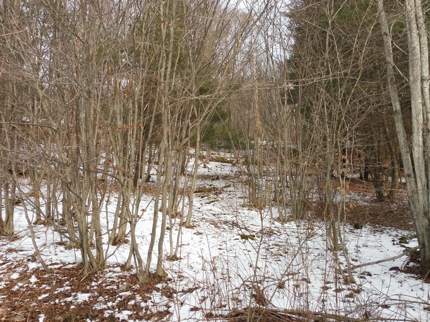 0 Nola Drive, Laurens, NY 13796