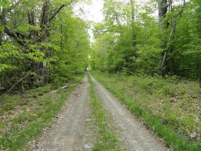 0 South Pucker Street, German, NY 13801