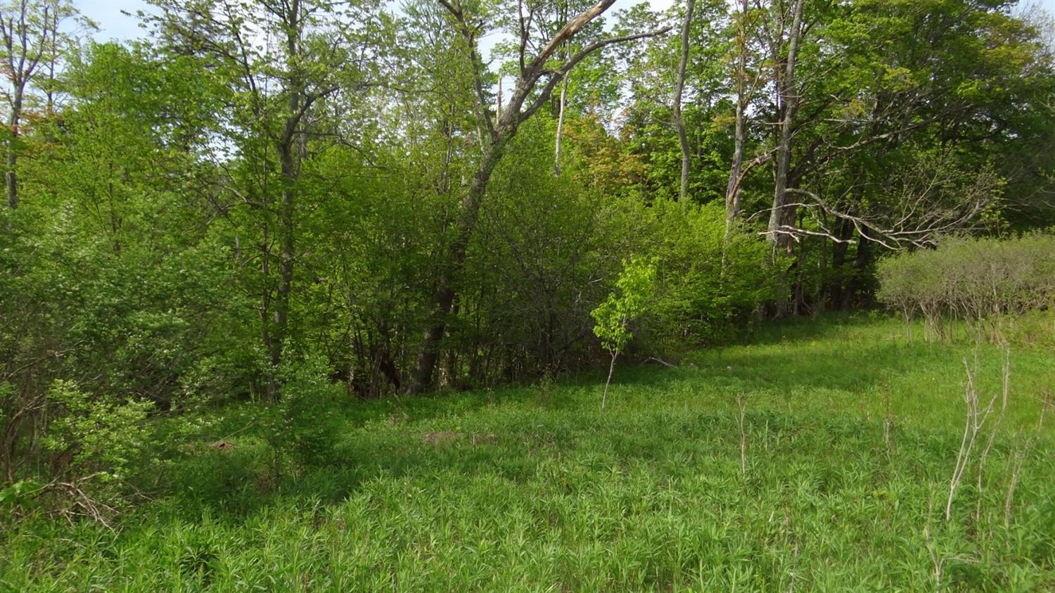 5279 State Highway 23, Norwich, NY 13815