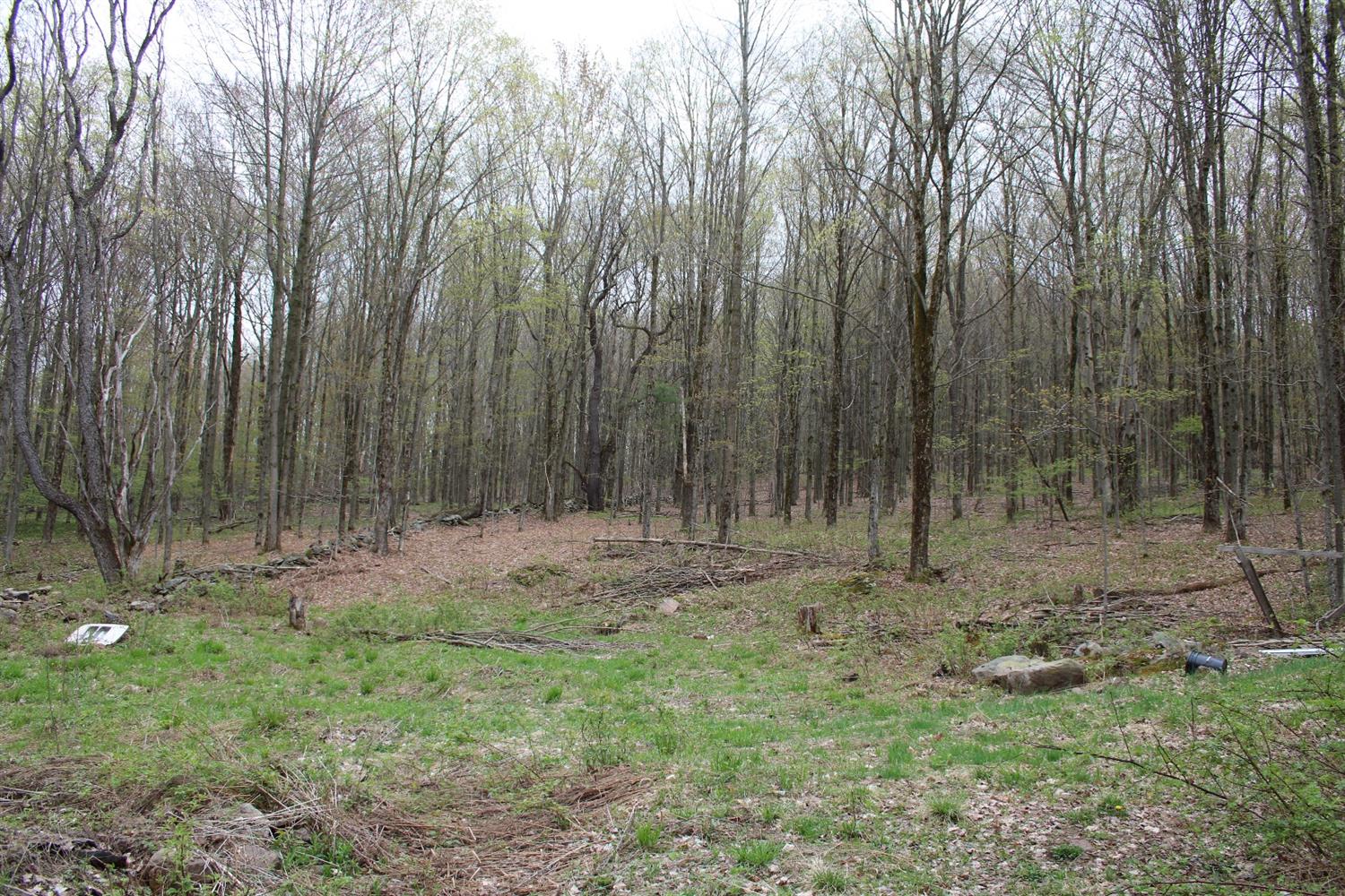 0 Sunrise Mountain Road, Kortright, NY 13842