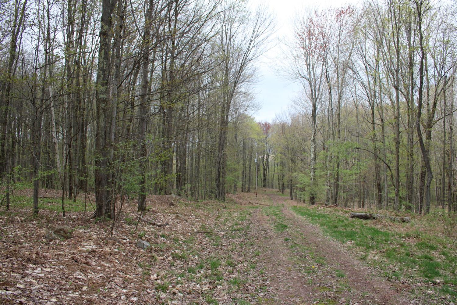 0 Sunrise Mountain Road, Kortright, NY 13842