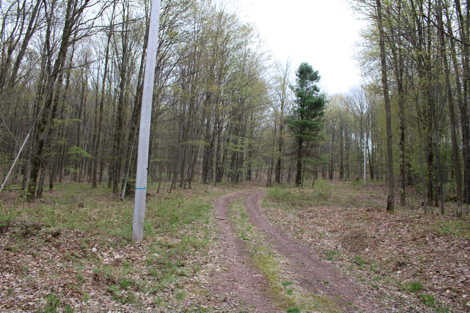 0 Sunrise Mountain Road, Kortright, NY 13842