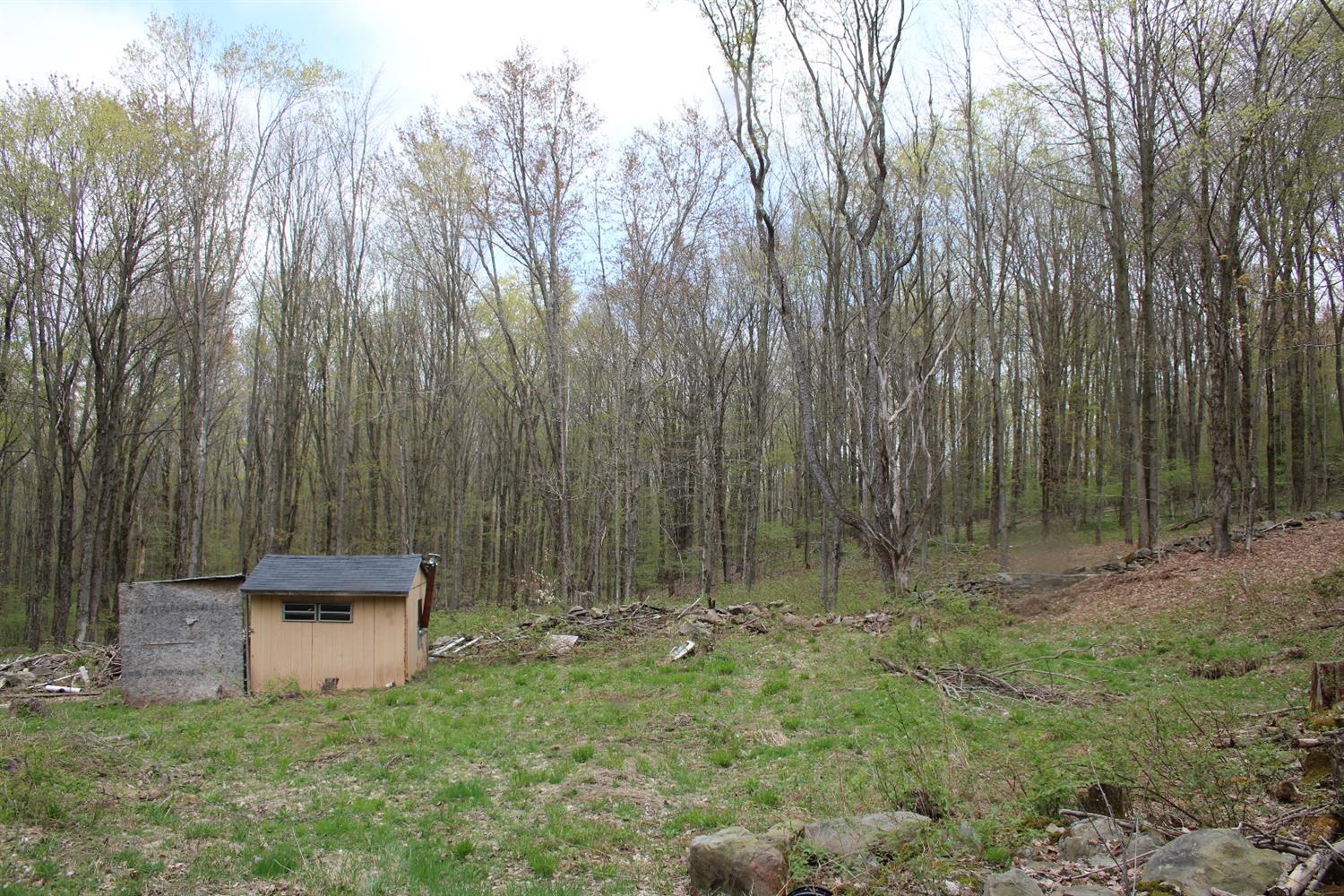 0 Sunrise Mountain Road, Kortright, NY 13842