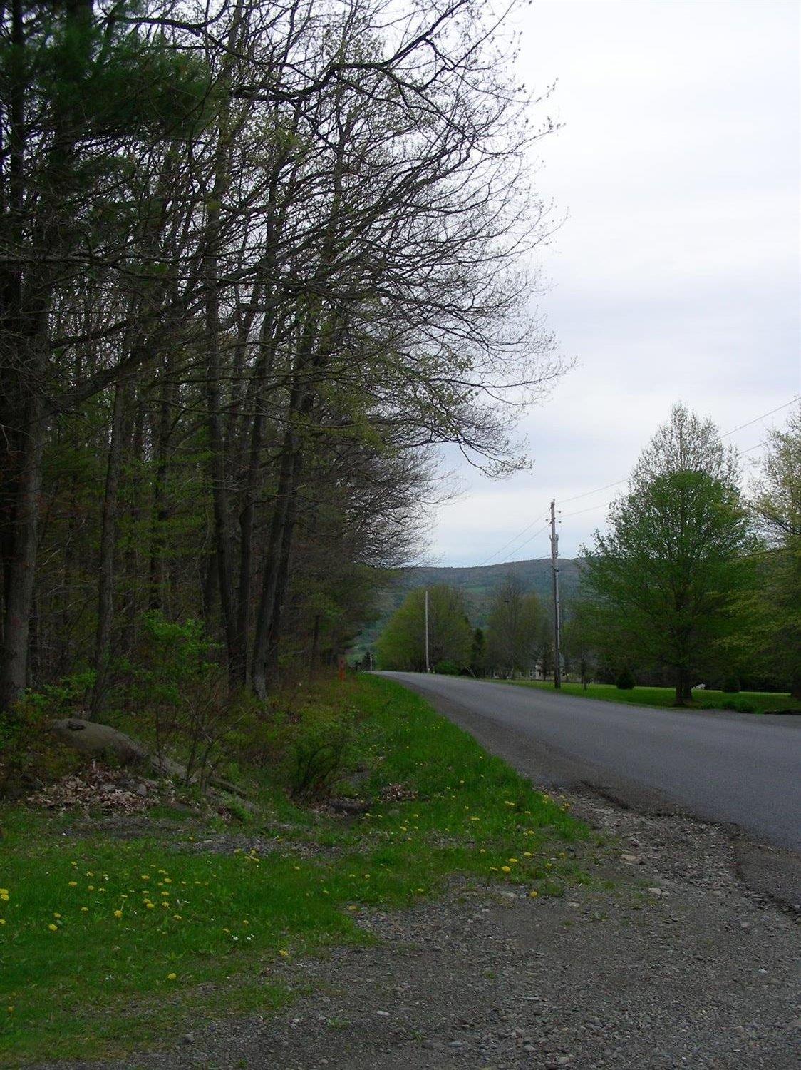 130 Oak Court, Unadilla, NY 13849
