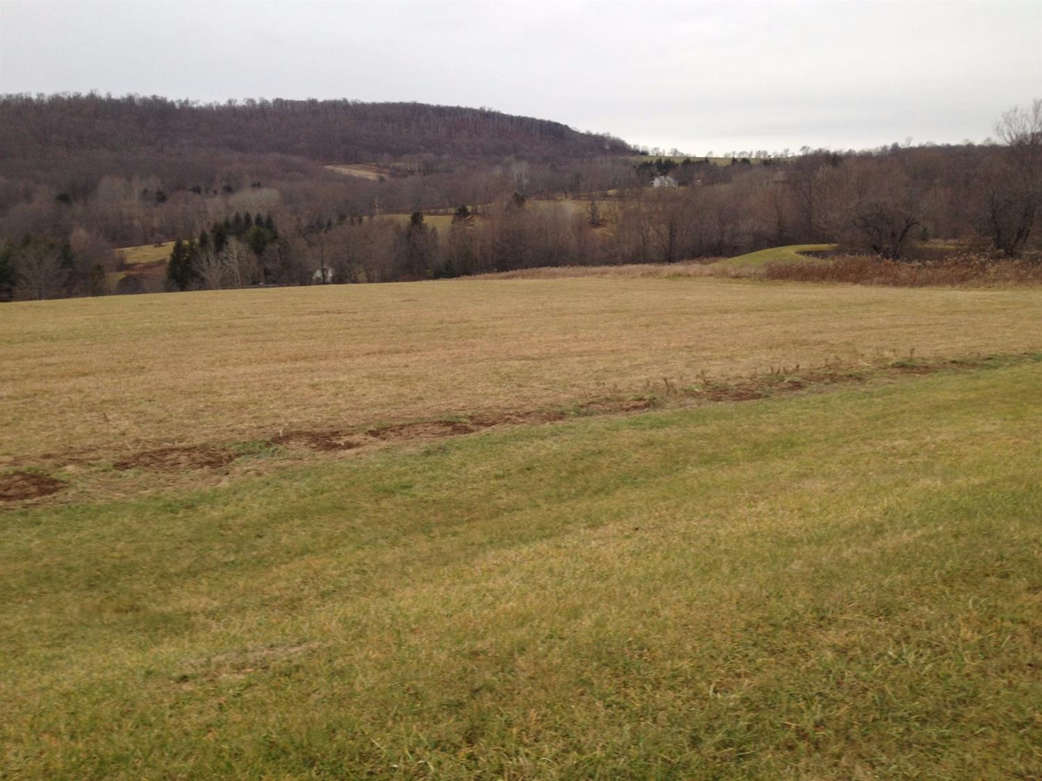 0 Cayuga Trail, Walton, NY 13856