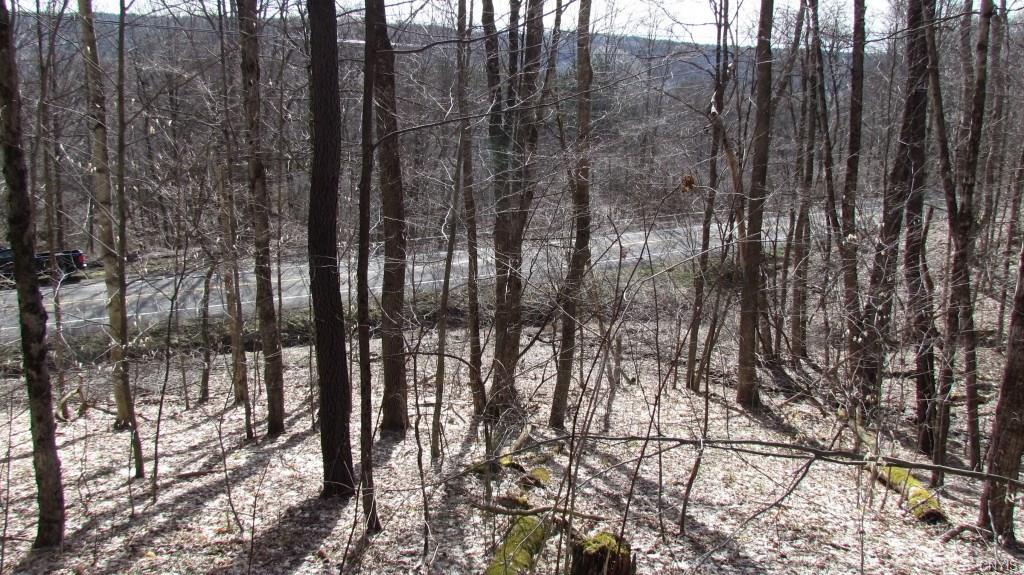 0 Route 221, Willet, NY 13863
