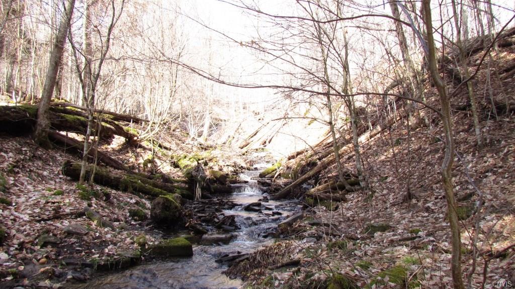 0 Route 221, Willet, NY 13863