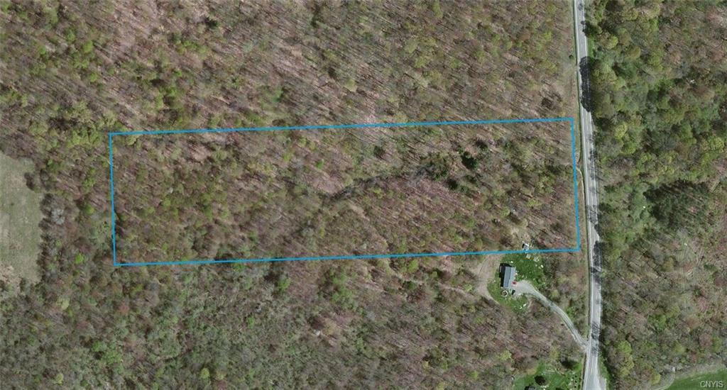 0 Route 221, Willet, NY 13863