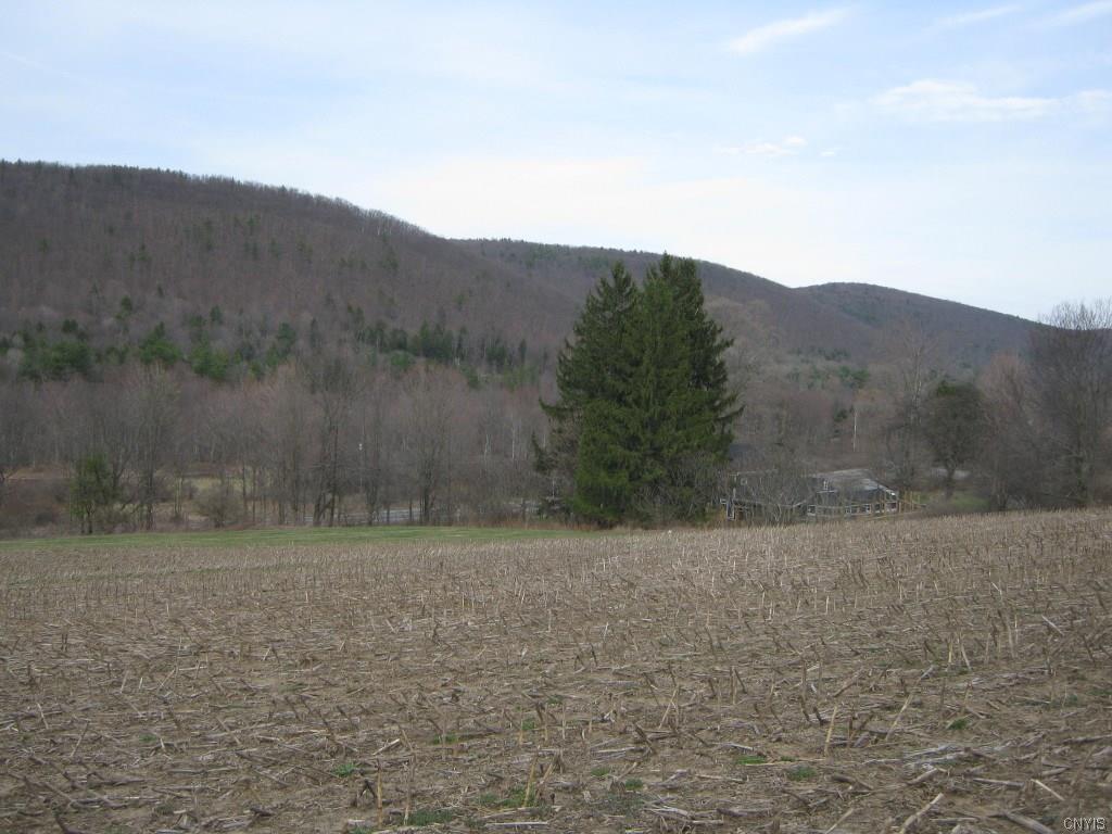 00 Danby Road, Danby, NY 13864