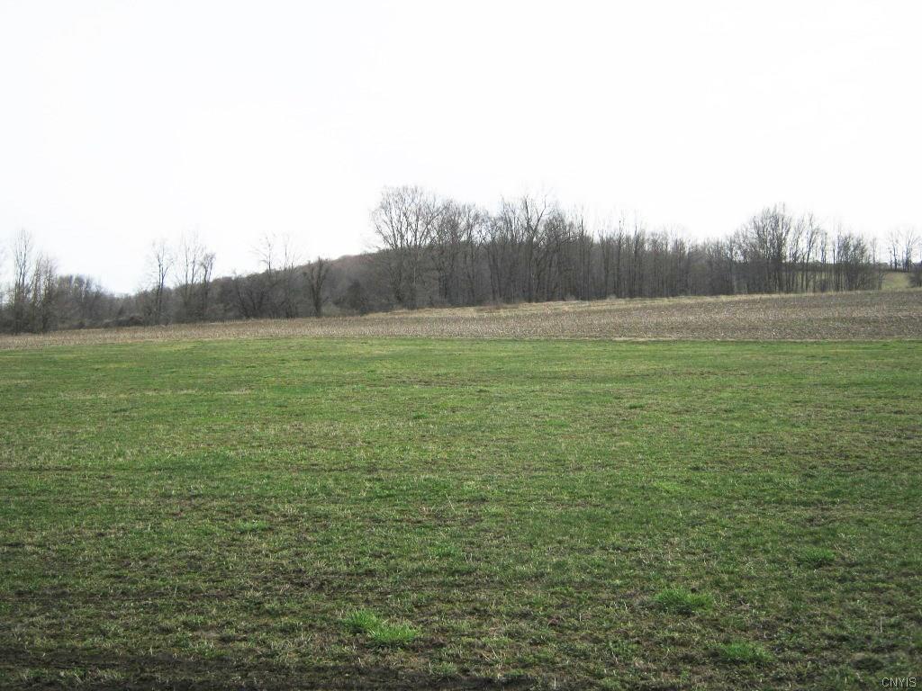 00 Danby Road, Danby, NY 13864