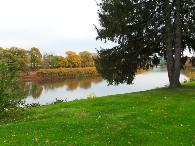 819 Conklin RoadBinghamton, NY, 13903Broome County