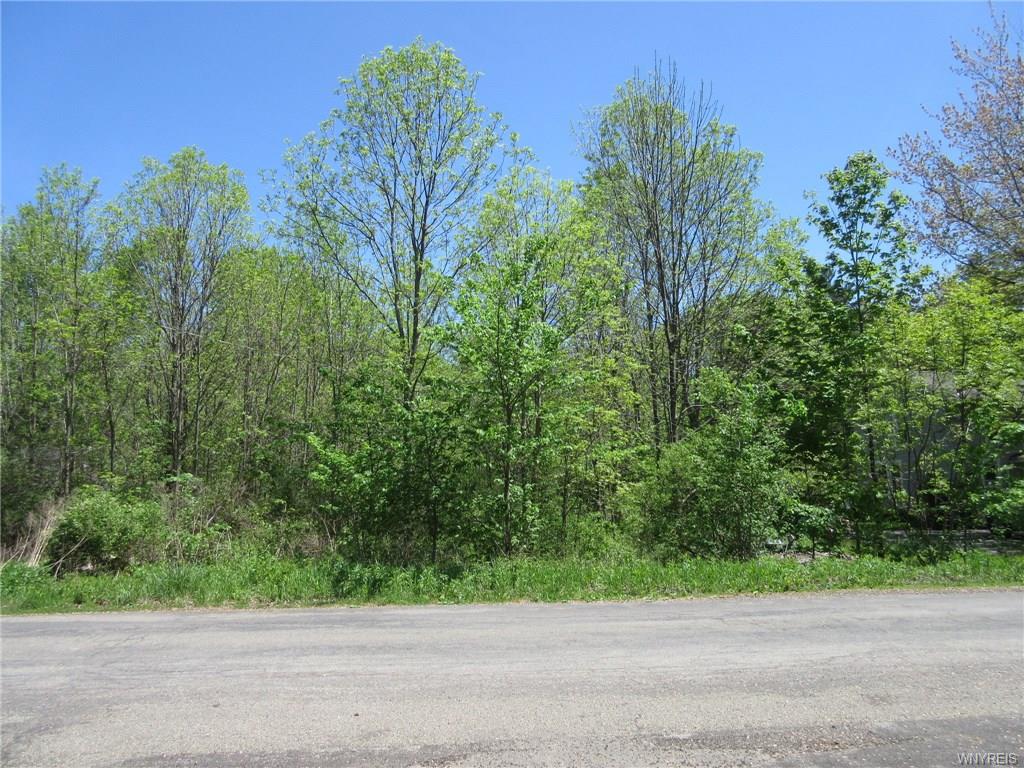 V/L Eden Evans Center Road, Evans, NY 14006