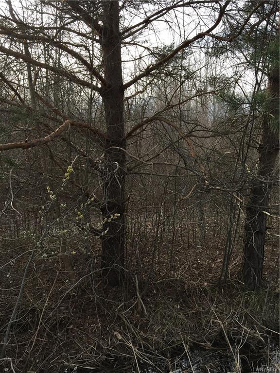 V/L Hartland Road, Hartland, NY 14067