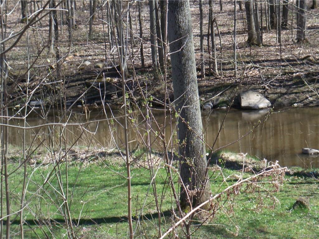 8434 Forest Road, Royalton, NY 14067