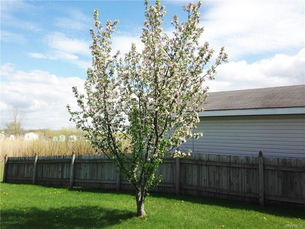 598 Birchwood Dr., Lockport, NY 14094