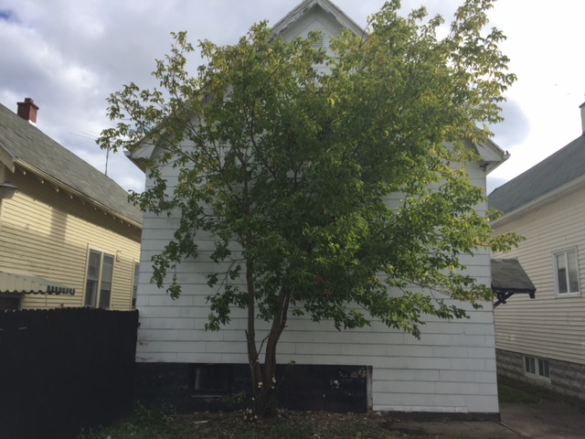 64 Theodore StBuffalo, NY, 14211Erie County