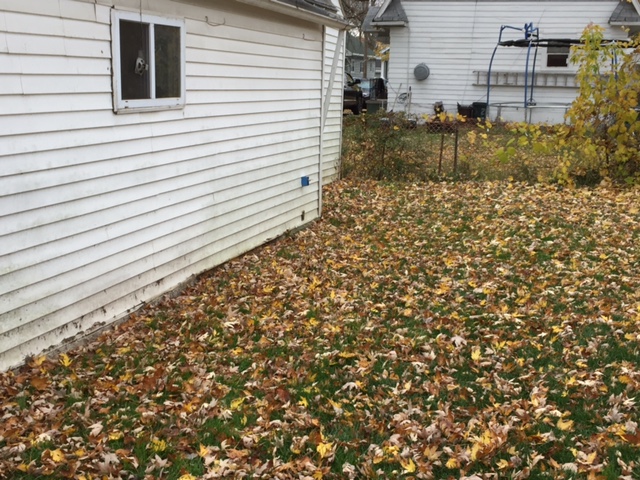212 72nd StreetNiagara Falls, NY, 14304Niagara County