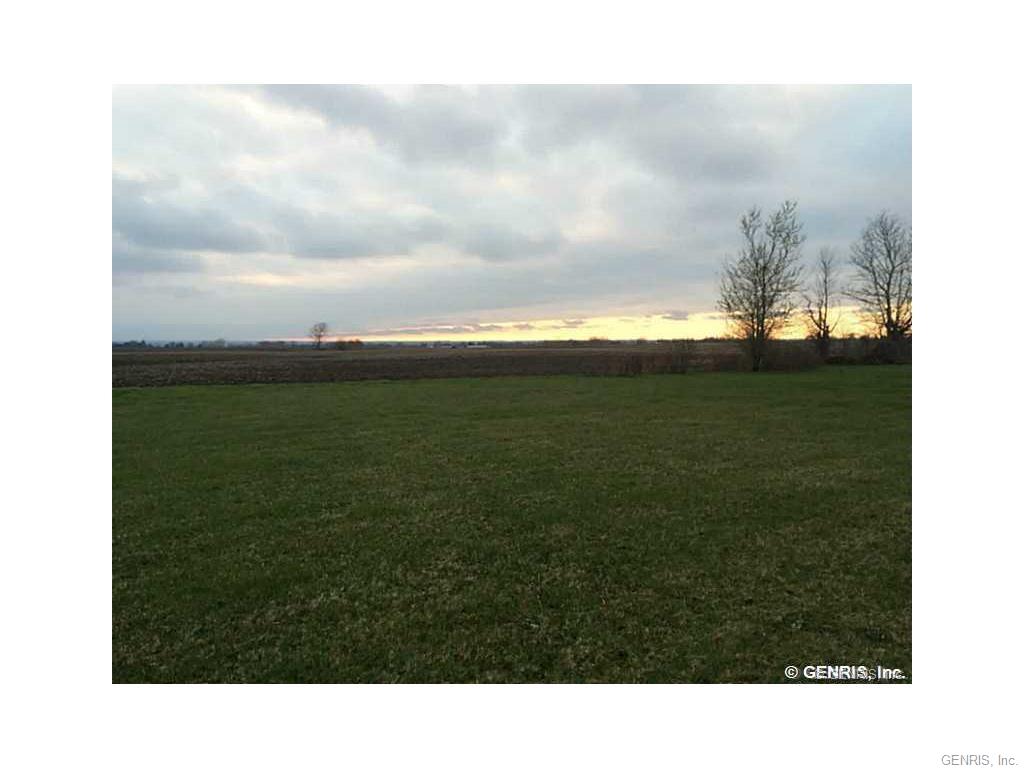 0 Lakeville Rd, Avon, NY 14414