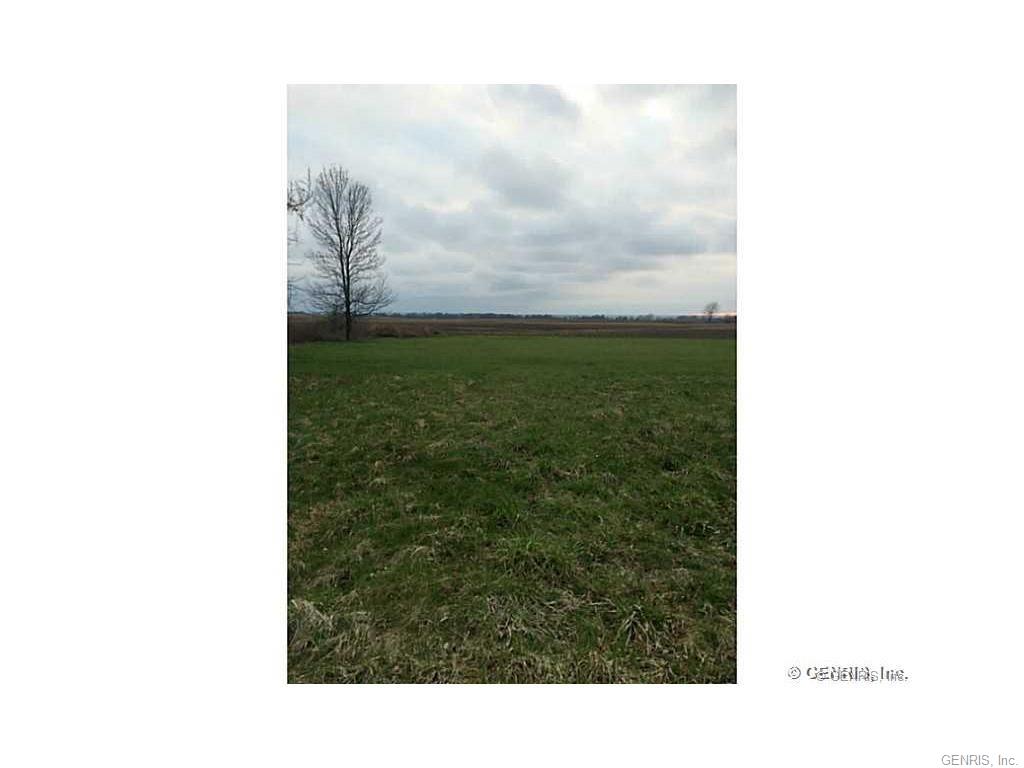 0 Lakeville Rd, Avon, NY 14414