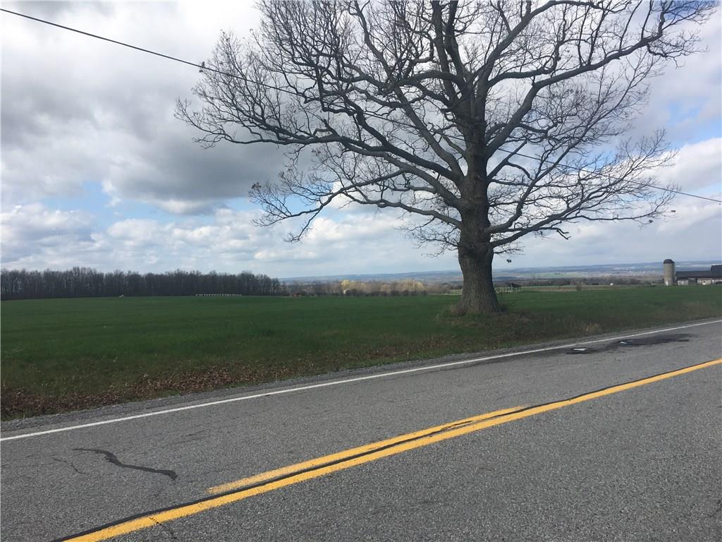 0 Long Point Road, Geneseo, NY 14454