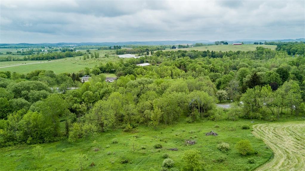 0 Pond Rd - Lot #1 Road, East Bloomfield, NY 14469
