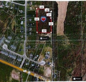 0 Big Tree Road, Livonia, NY 14487