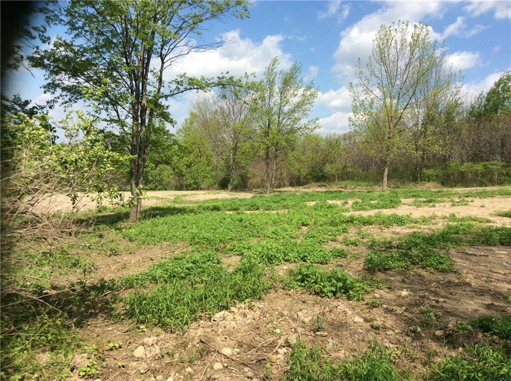 0 Big Tree Road, Livonia, NY 14487
