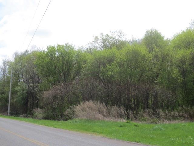 0 Boss Road Road Lot #4, Marion, NY 14505