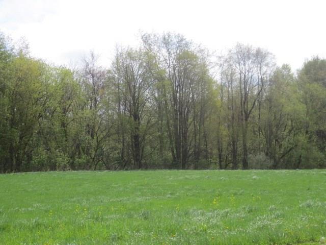 0 Ridge Chapel Road Lot #2, Marion, NY 14505