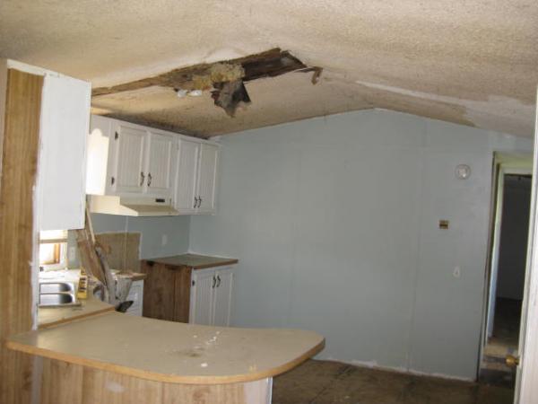 Village Estates II 341 Park LaneMount Morris, NY 14510