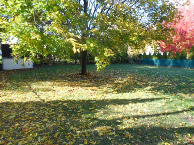 49 Chad CirRochester, NY, 14616Monroe County