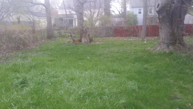 32 Haddon RoadRochester, NY, 14626Monroe County