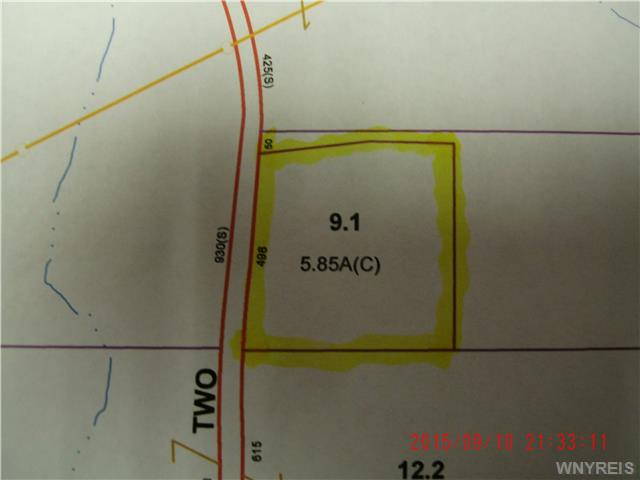 0 Two Mile Road, Allegany, NY 14706