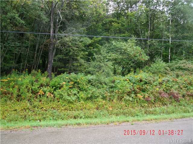0 Two Mile Road, Allegany, NY 14706