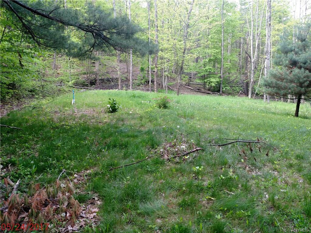 1292 California Hollow Road, Bolivar, NY 14715