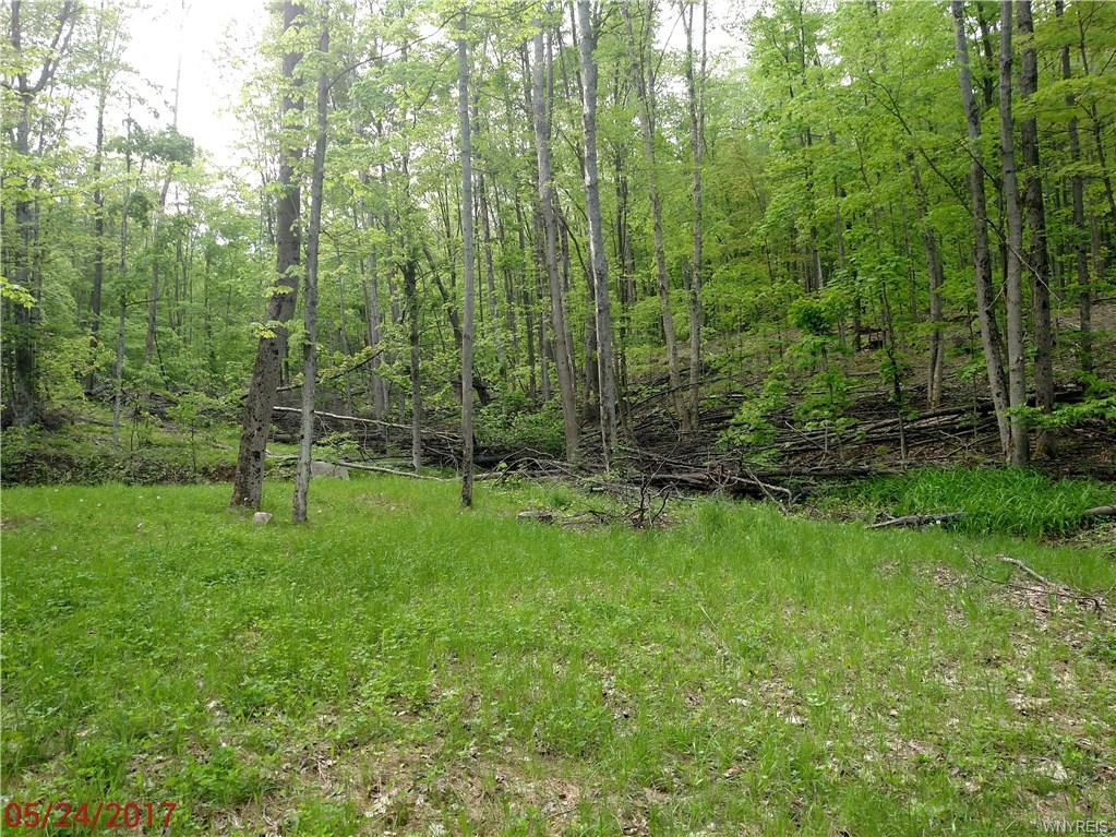 1292 California Hollow Road, Bolivar, NY 14715