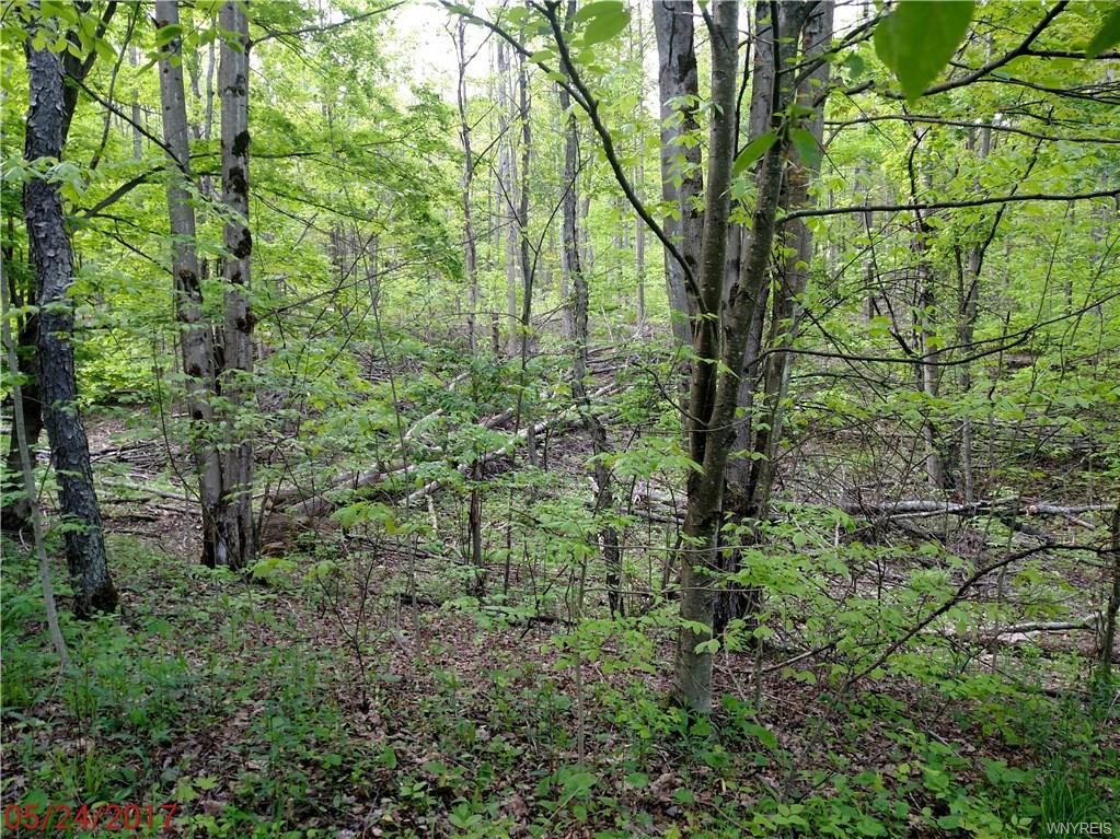 1292 California Hollow Road, Bolivar, NY 14715