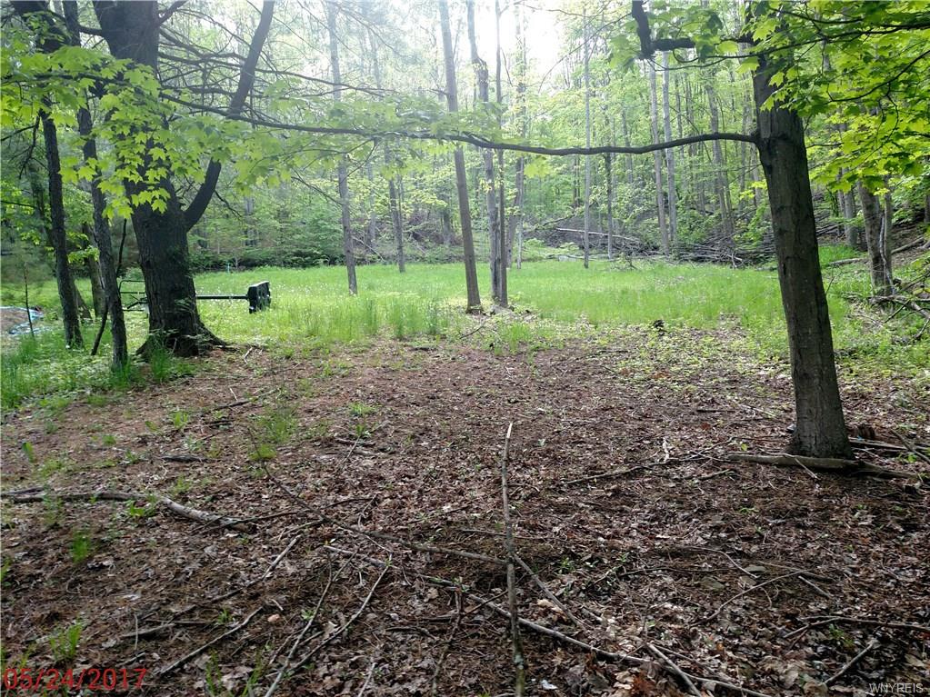 1292 California Hollow Road, Bolivar, NY 14715