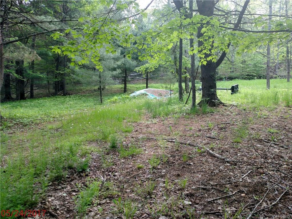 1292 California Hollow Road, Bolivar, NY 14715