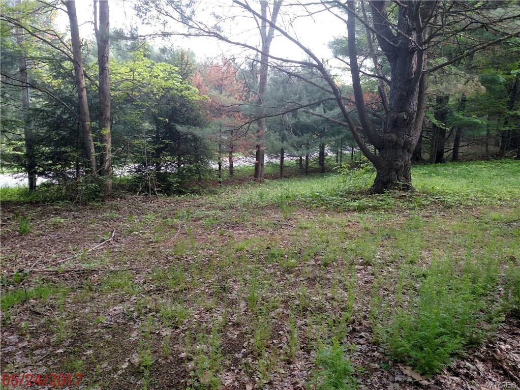 1292 California Hollow Road, Bolivar, NY 14715