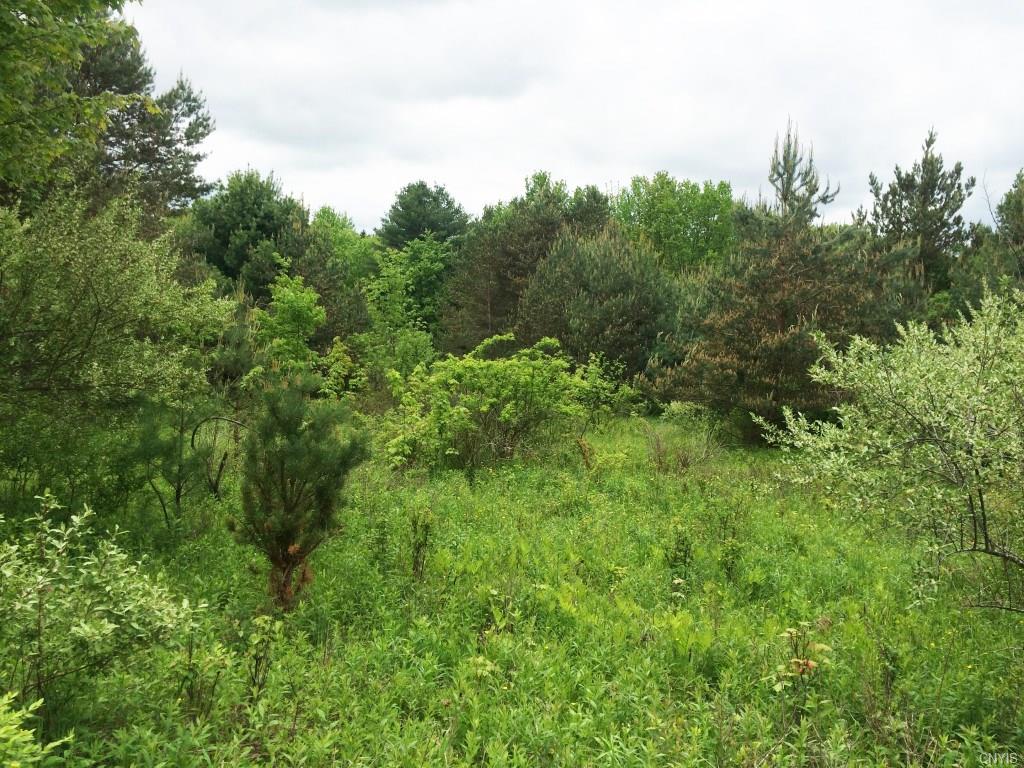 00 Spring Hill Road, Cuba, NY 14727