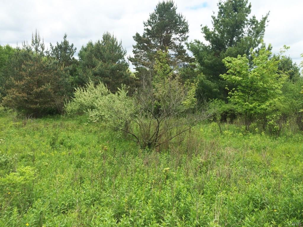 00 Spring Hill Road, Cuba, NY 14727