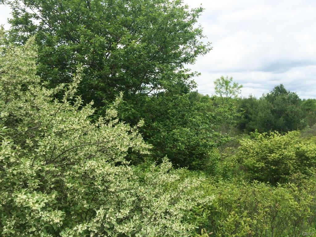 00 Spring Hill Road, Cuba, NY 14727