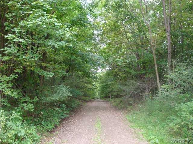 18 Creek Ridge Road, Ellicottville, NY 14731