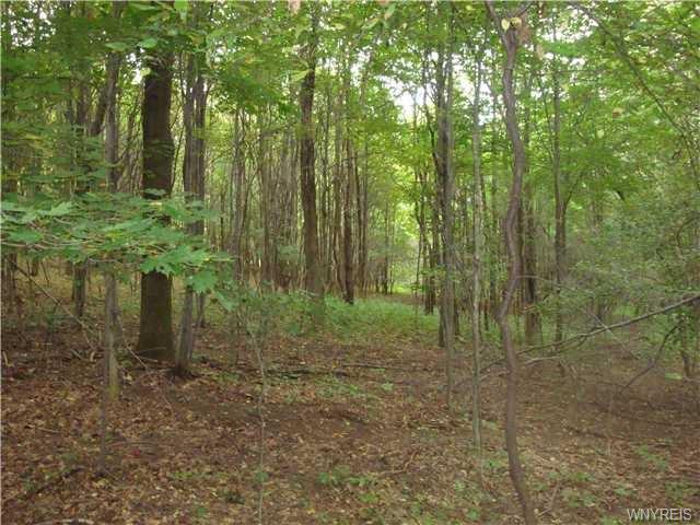 18 Creek Ridge Road, Ellicottville, NY 14731