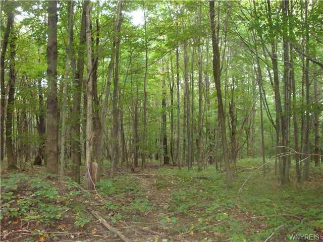 18 Creek Ridge Road, Ellicottville, NY 14731