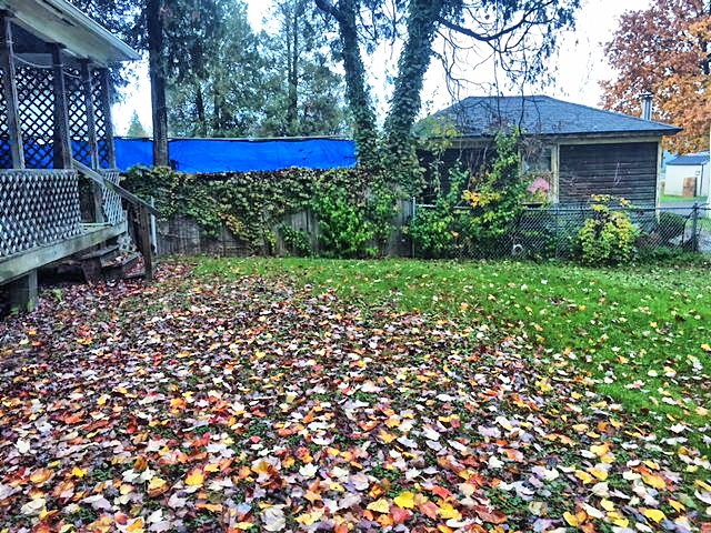 12-14 East James StFalconer, NY, 14733Chautauqua County